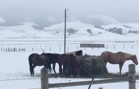 Montana Winter Lodge Rental