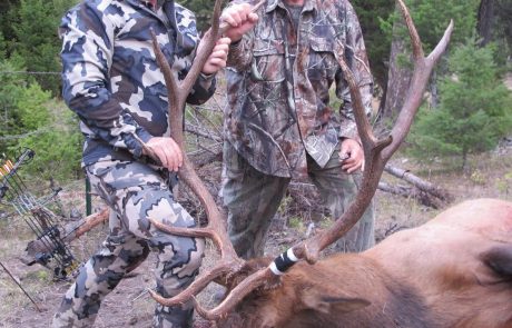 Elk Game Hunting Rental