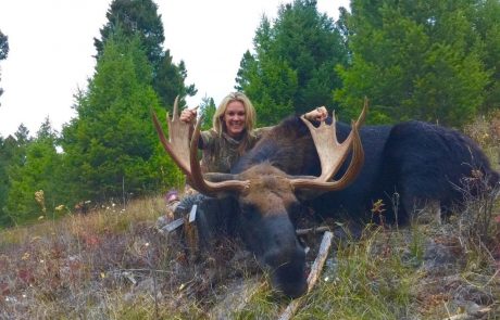 Moose Game Hunt Rental