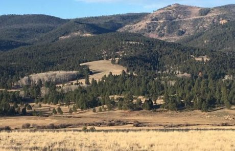 Montana Ranch Rental