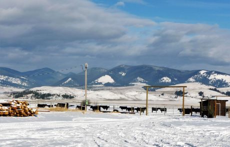 Winter Lodge Ranch Rental